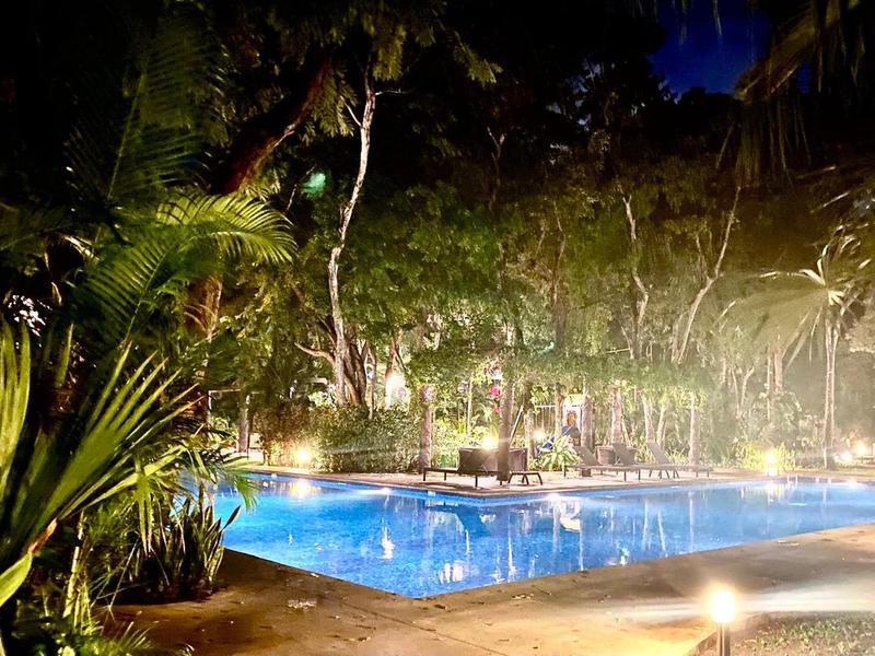 Vaiven Del Viento For Sale image 35 of 39