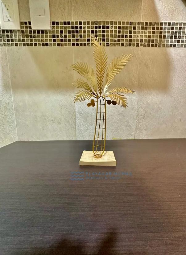 Spacious Villa Playacar image 41 of 43