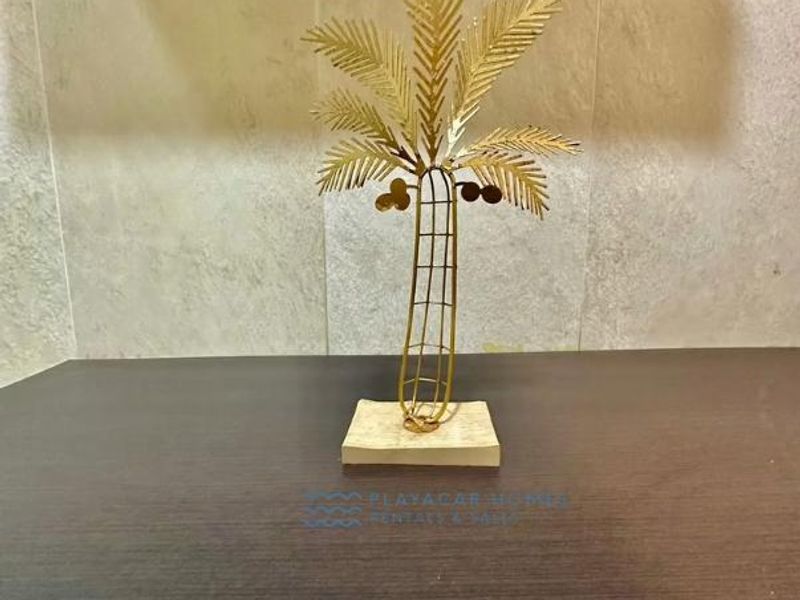 Spacious Villa Playacar image 41 of 43