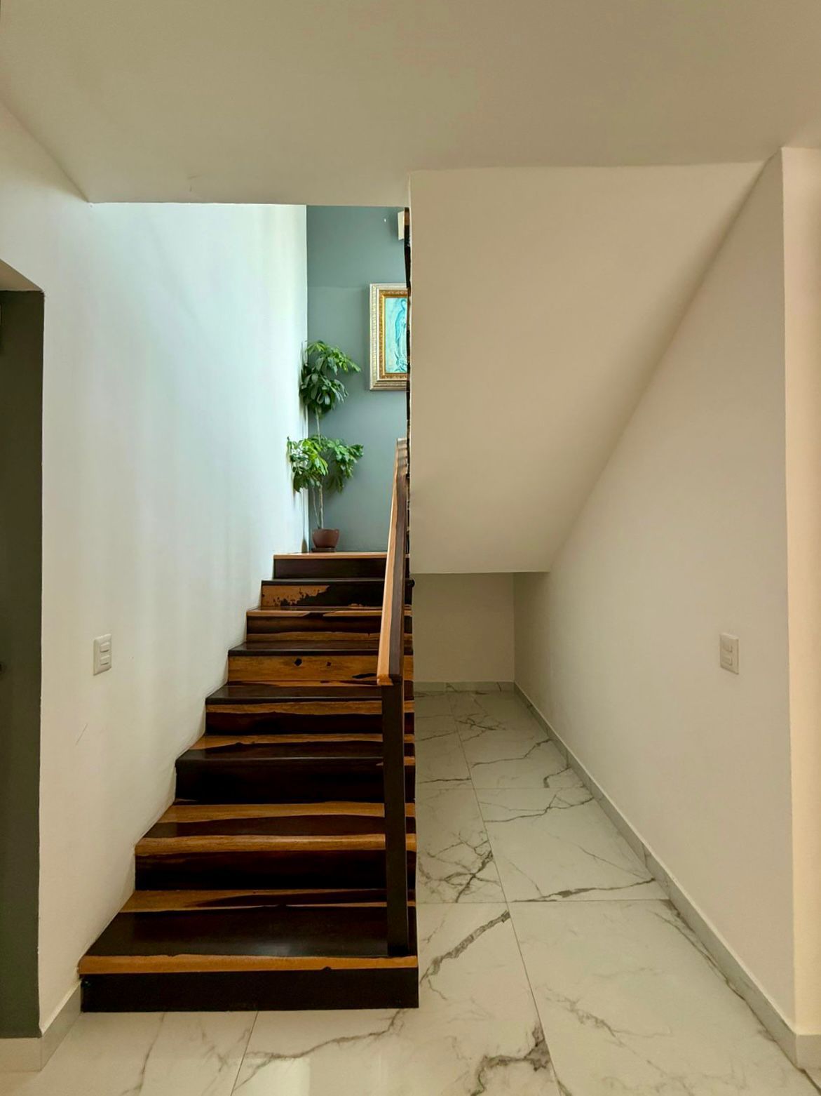 Elegant Villa in Playacar image 25 of 50