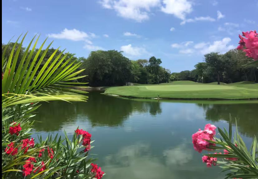 Arbolada Playacar Condo For Rent image 29 of 38