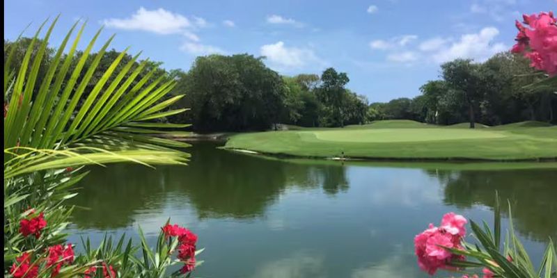 Arbolada Playacar Condo For Rent image 29 of 38