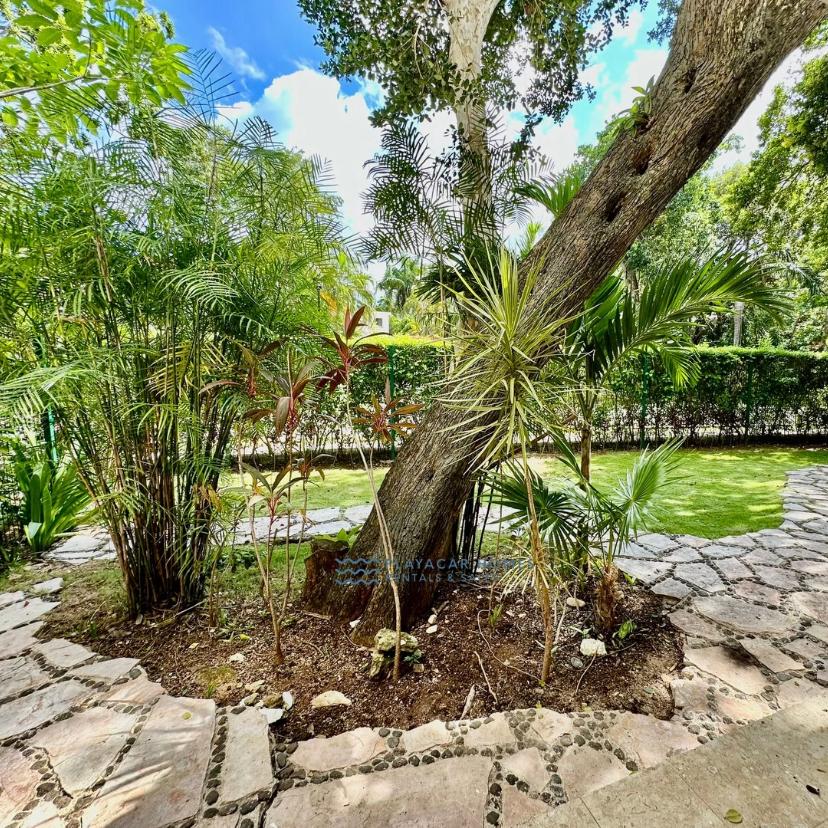 Spacious Villa Playacar image 35 of 43