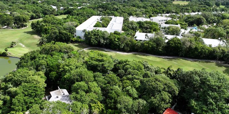 Playacar Huge Land For Sale image 13 of 14