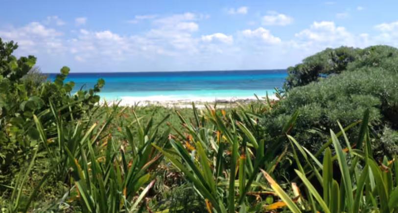 Arbolada Playacar Condo For Rent image 2 of 38