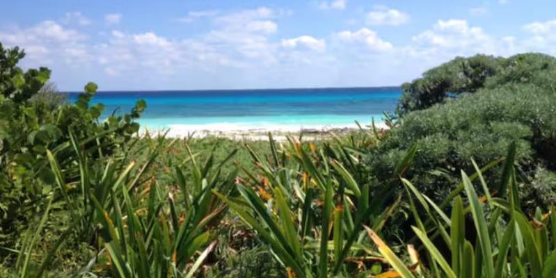 Arbolada Playacar Condo For Rent image 2 of 38