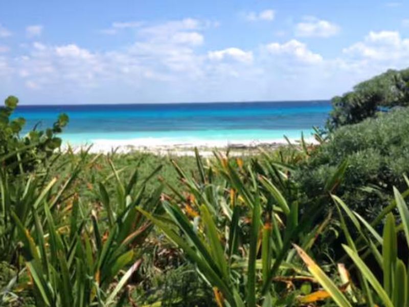 Arbolada Playacar Condo For Rent image 2 of 38