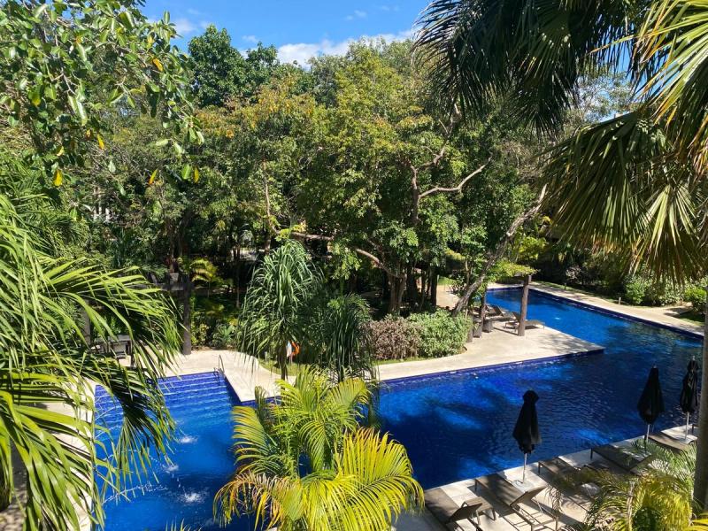 Vaiven Del Viento For Sale image 30 of 39