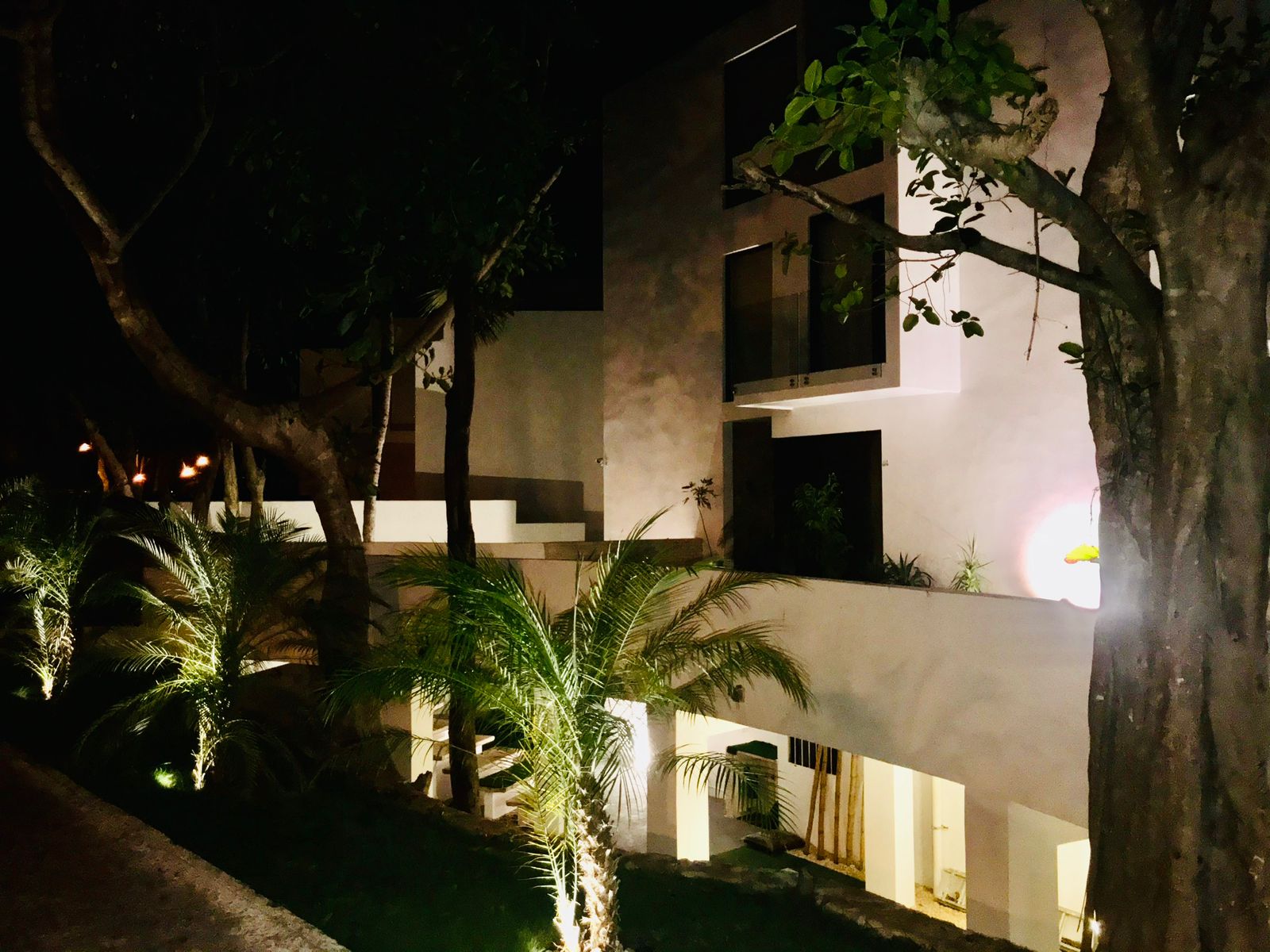 Luxury residence - Sale Playacar image 18 of 26