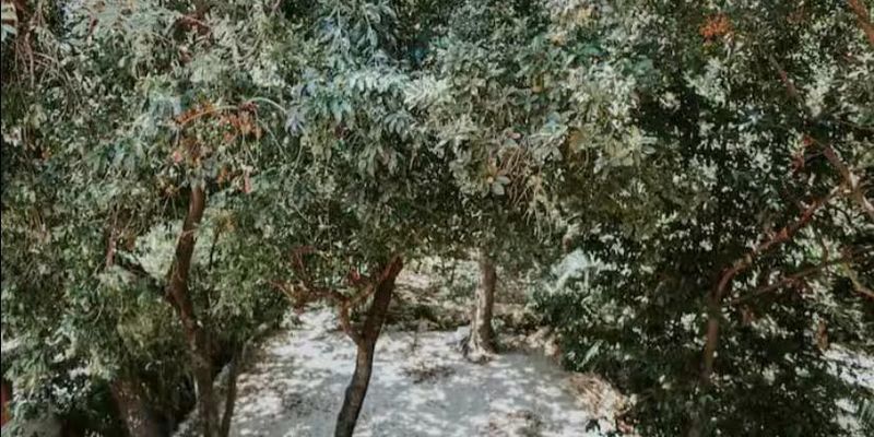 Gorgeous Club Real House  image 43 of 60