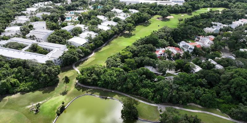 Playacar Huge Land For Sale image 10 of 14