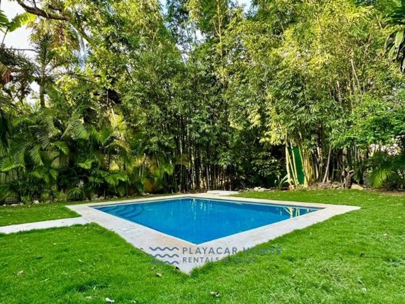 Spacious Villa Playacar image 3 of 43