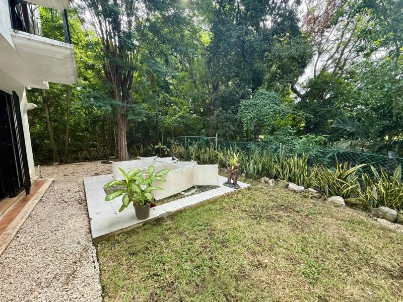 Villas De Caribe Playacar Rental image 26 of 29