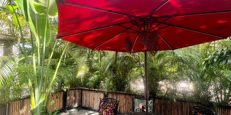 Vaiven Del Viento For Sale image 10 of 26