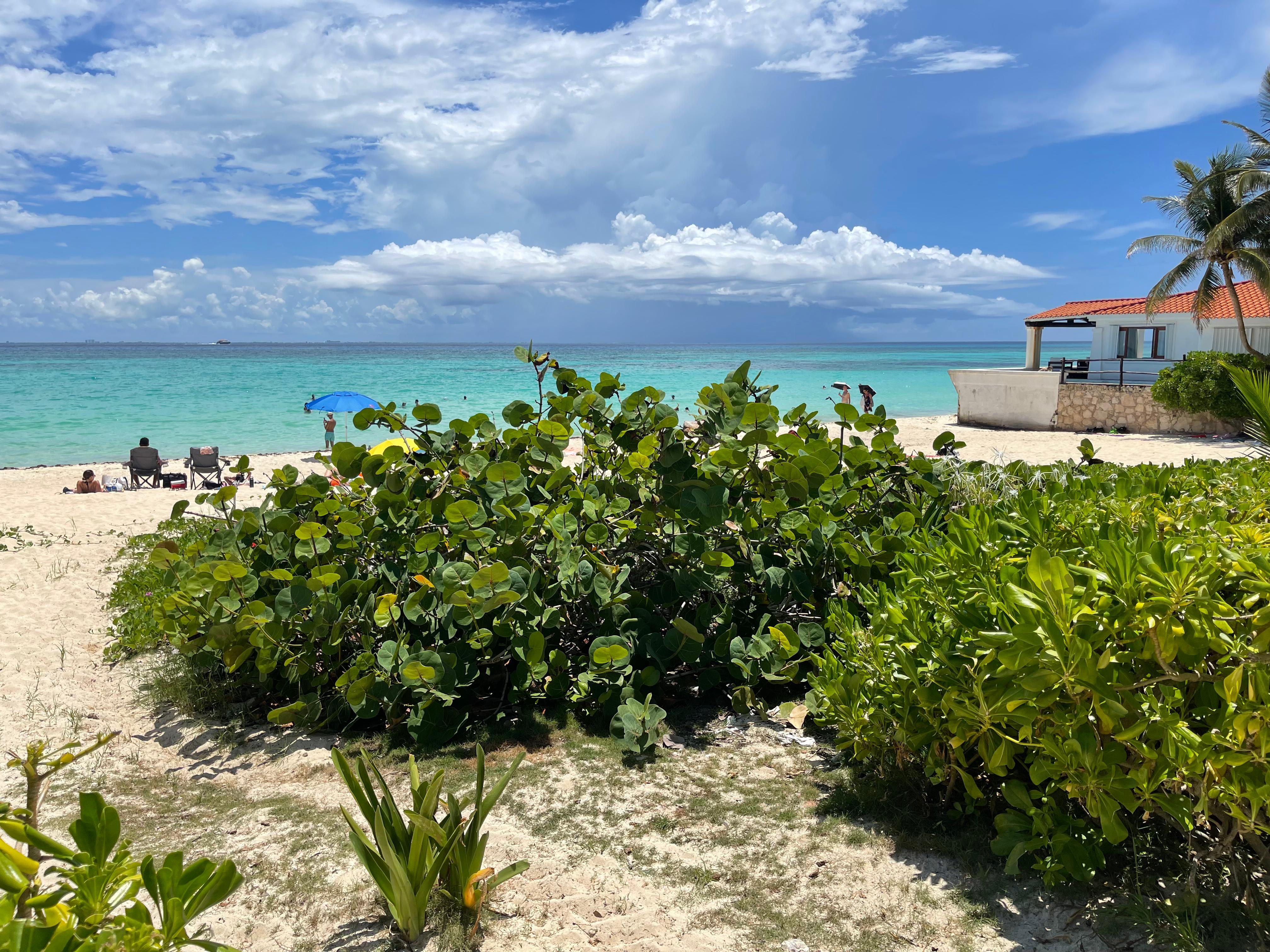 Playacar Beach Front Land sale image 3 of 8