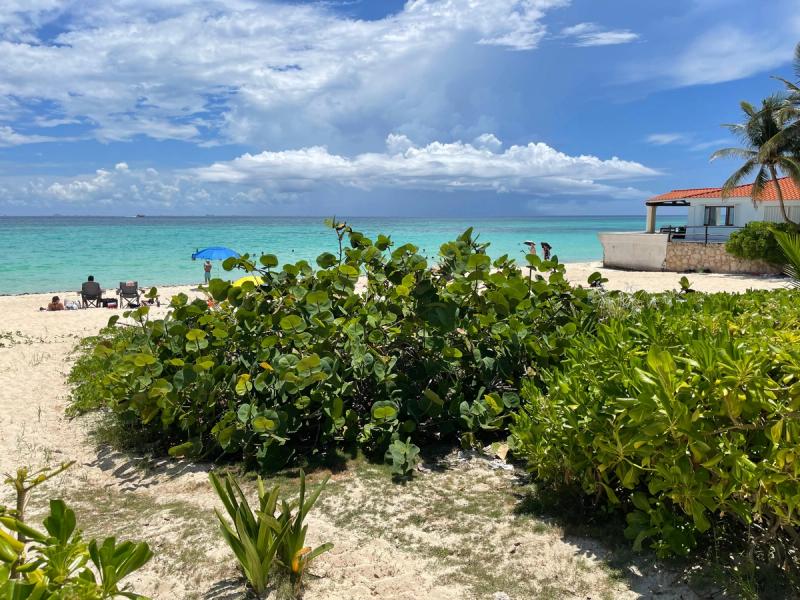 Playacar Beach Front Land sale image 3 of 8