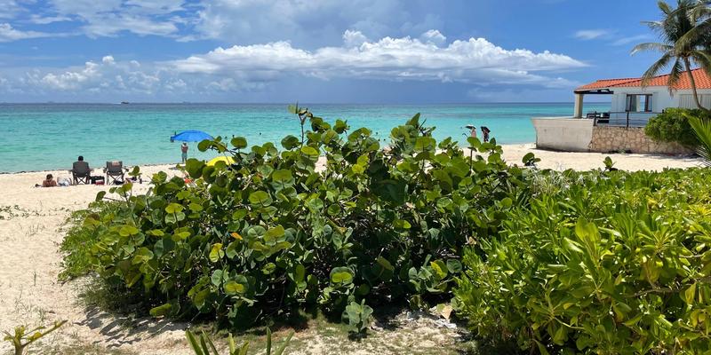 Playacar Beach Front Land sale image 3 of 8