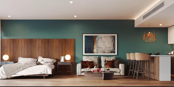 The Leaf Playacar image 16 of 33