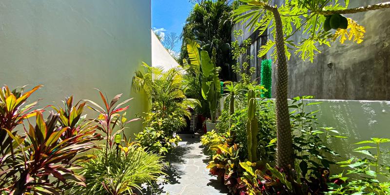 Casa Dragon image 18 of 41