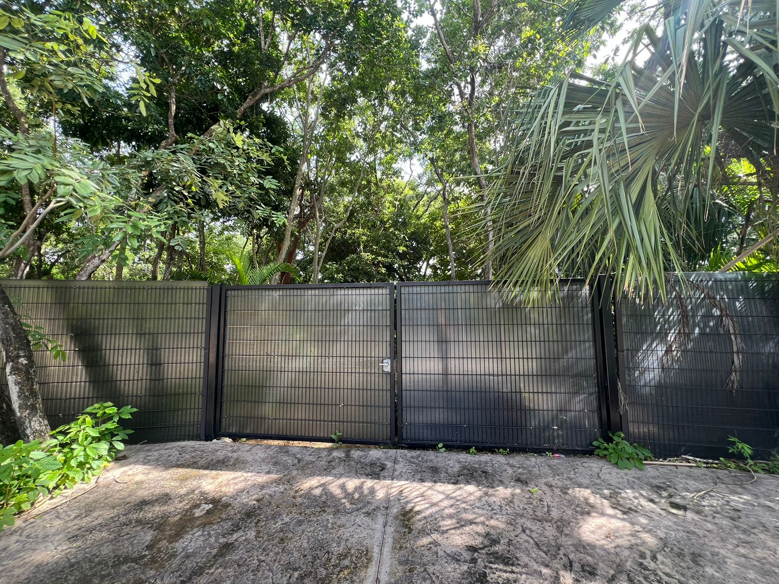 Playacar Huge Land For Sale image 4 of 14