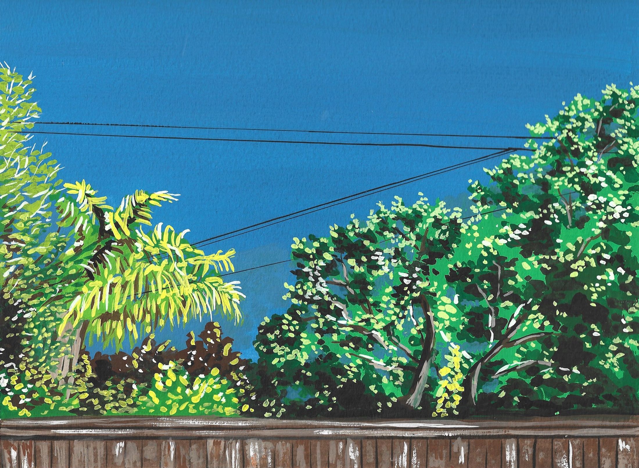 Sideyard View