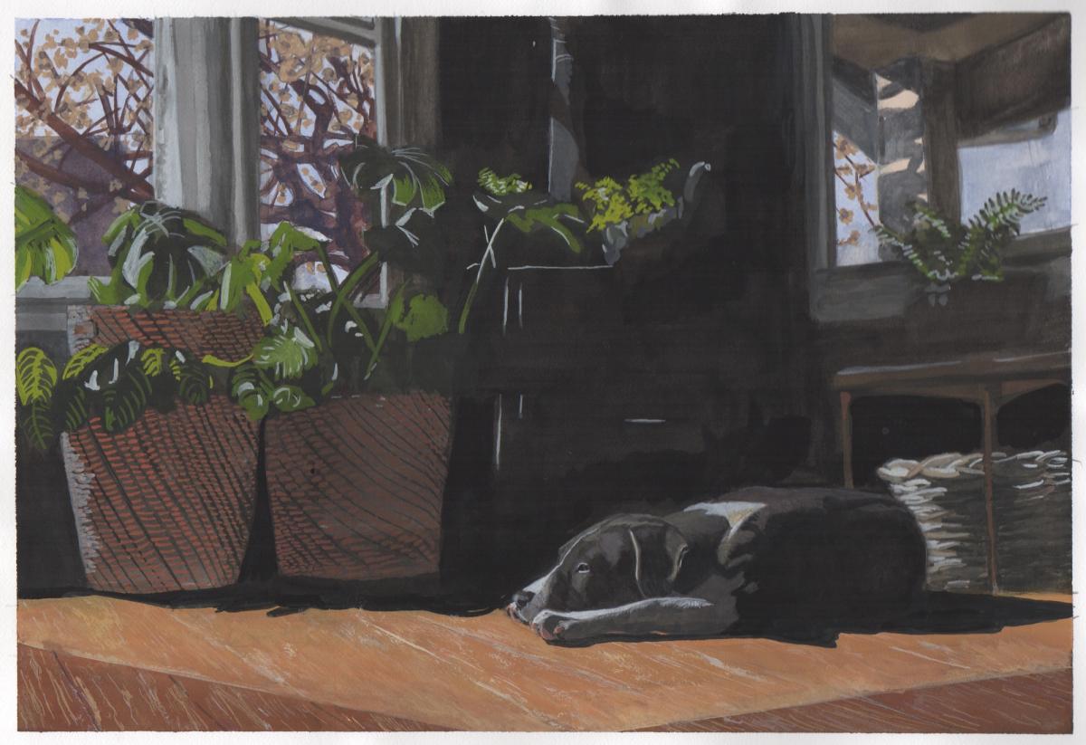 Dog Nap