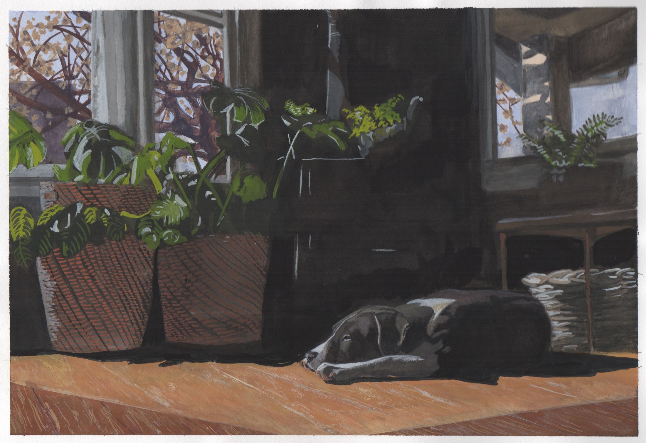 Dog Nap