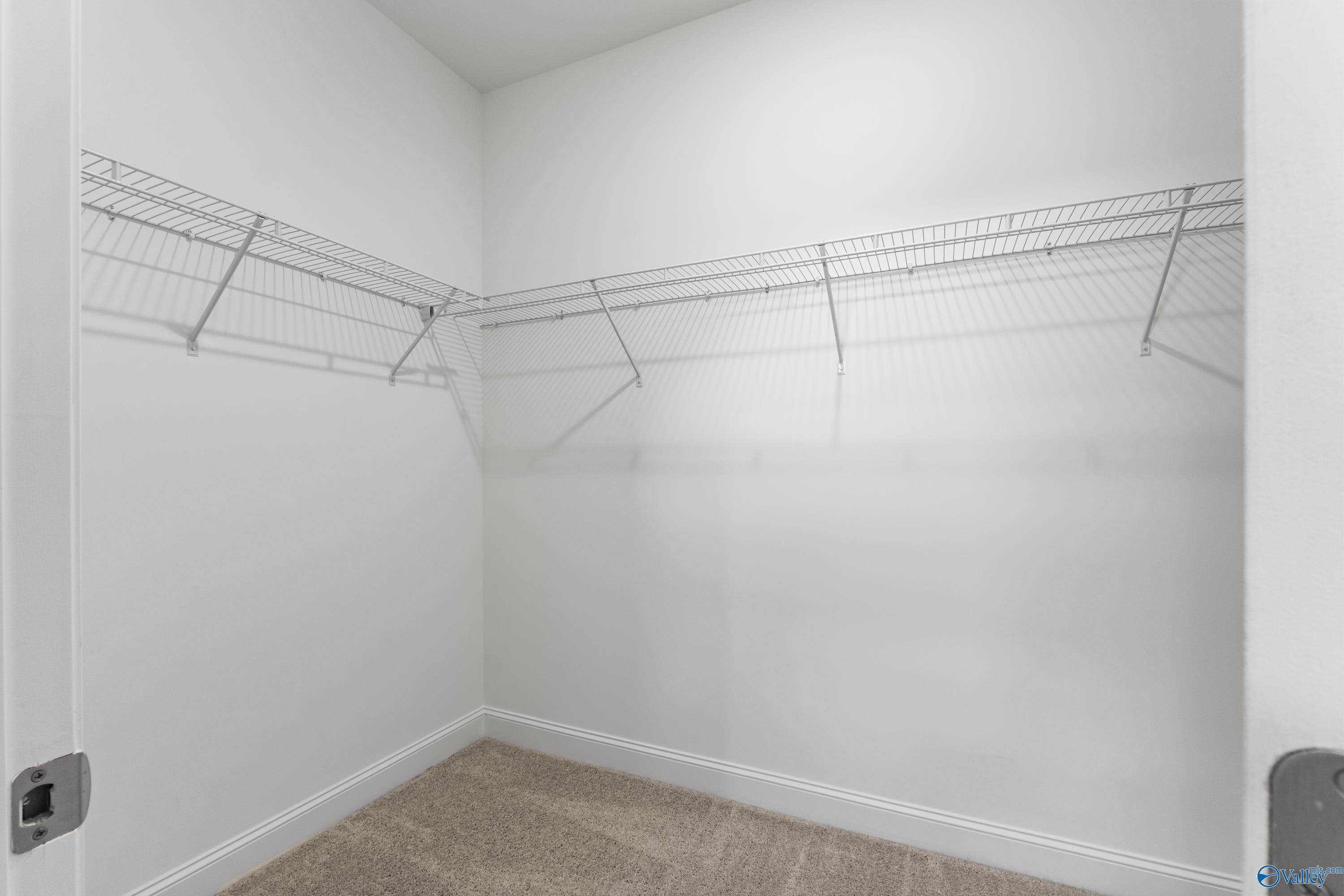 Spacious walk-in closet with wire shelving and carpeted floor in Davidson Homes The Daphne C, Harvest, Alabama