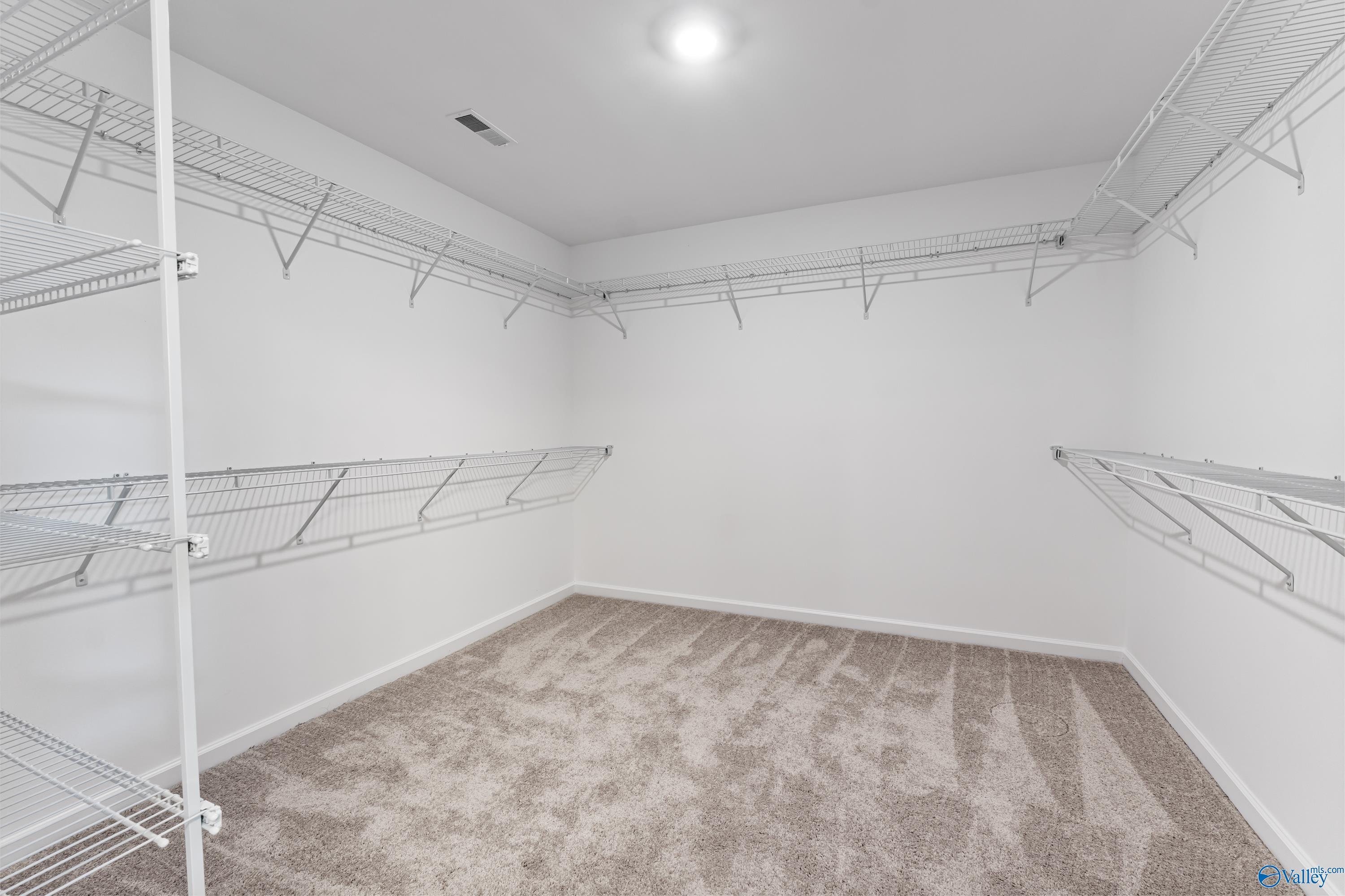 Spacious walk-in closet with white walls, wire shelving, and beige carpet in Davidson Homes The Charm, Riverton Preserve, Huntsville, Alabama