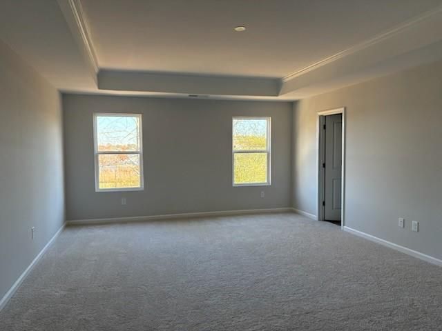 Spacious empty bedroom with tray ceiling, large windows, and beige carpet in Davidson Homes Cary A, Winder, Georgia