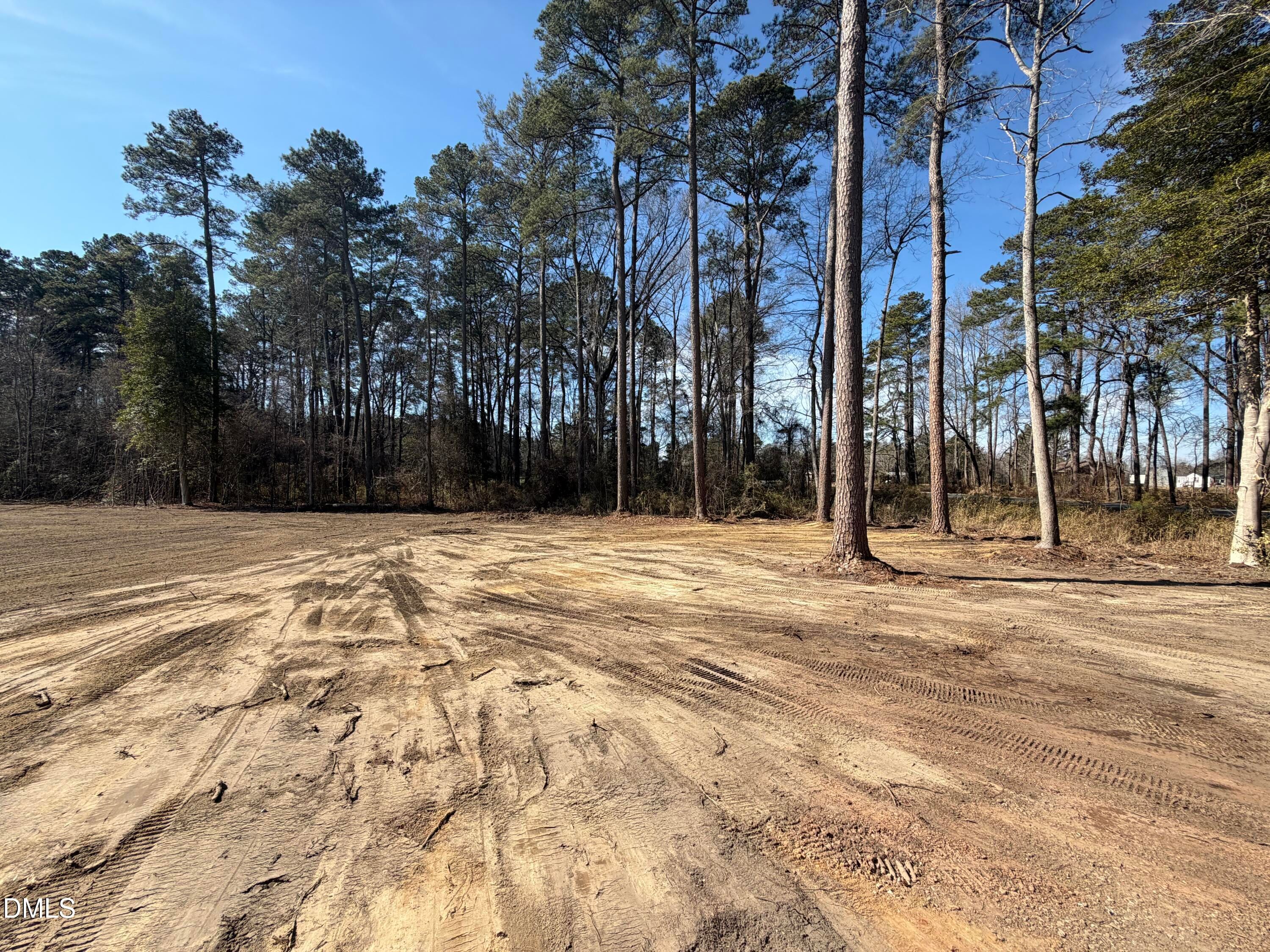 Cleared lot with dirt path, tire tracks, and tall pine trees under blue sky in Wellers Knoll, Lillington, North Carolina