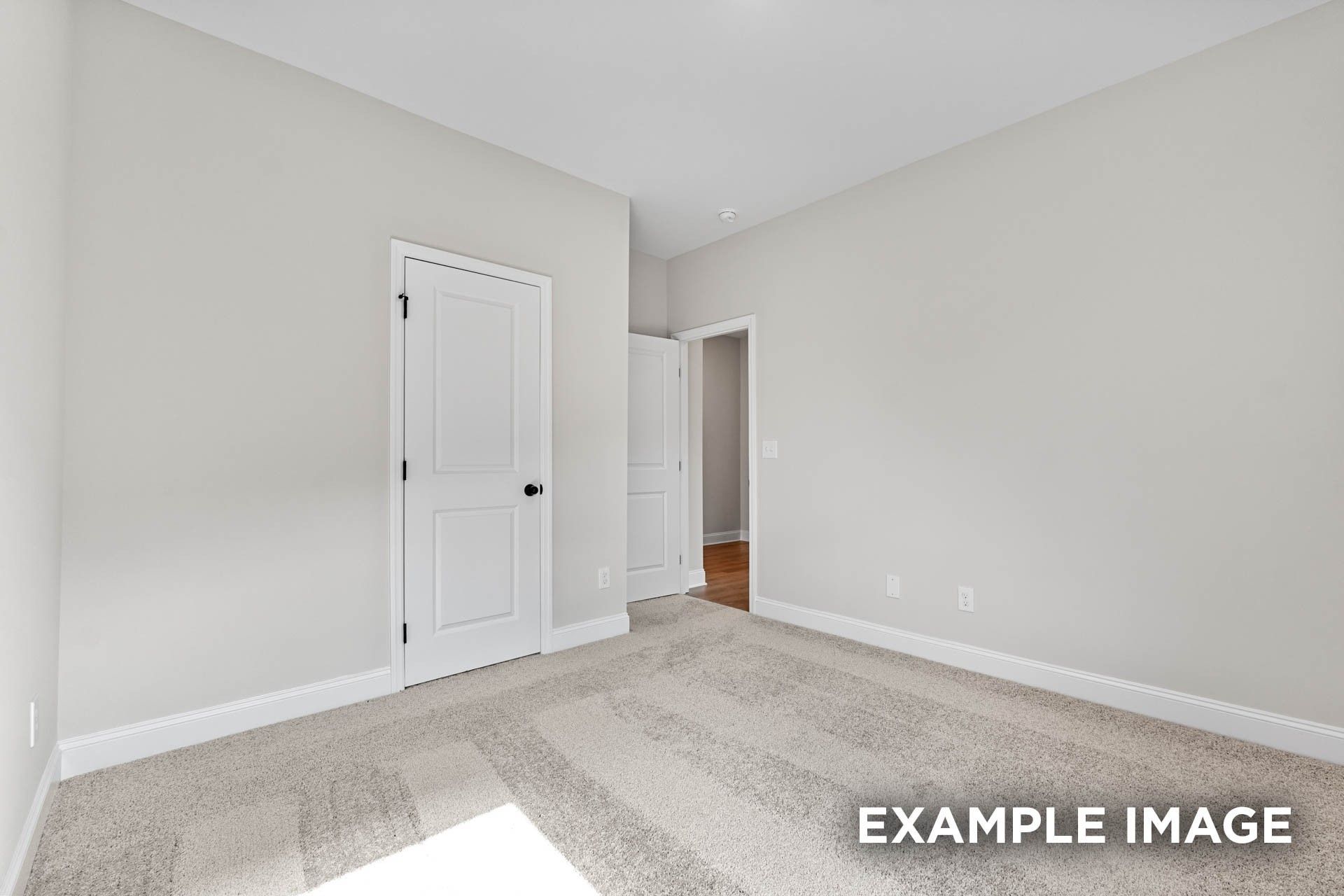Spacious neutral-toned bedroom with plush carpet in The Franklin E floor plan at Bailey Park, Fayetteville, Tennessee.