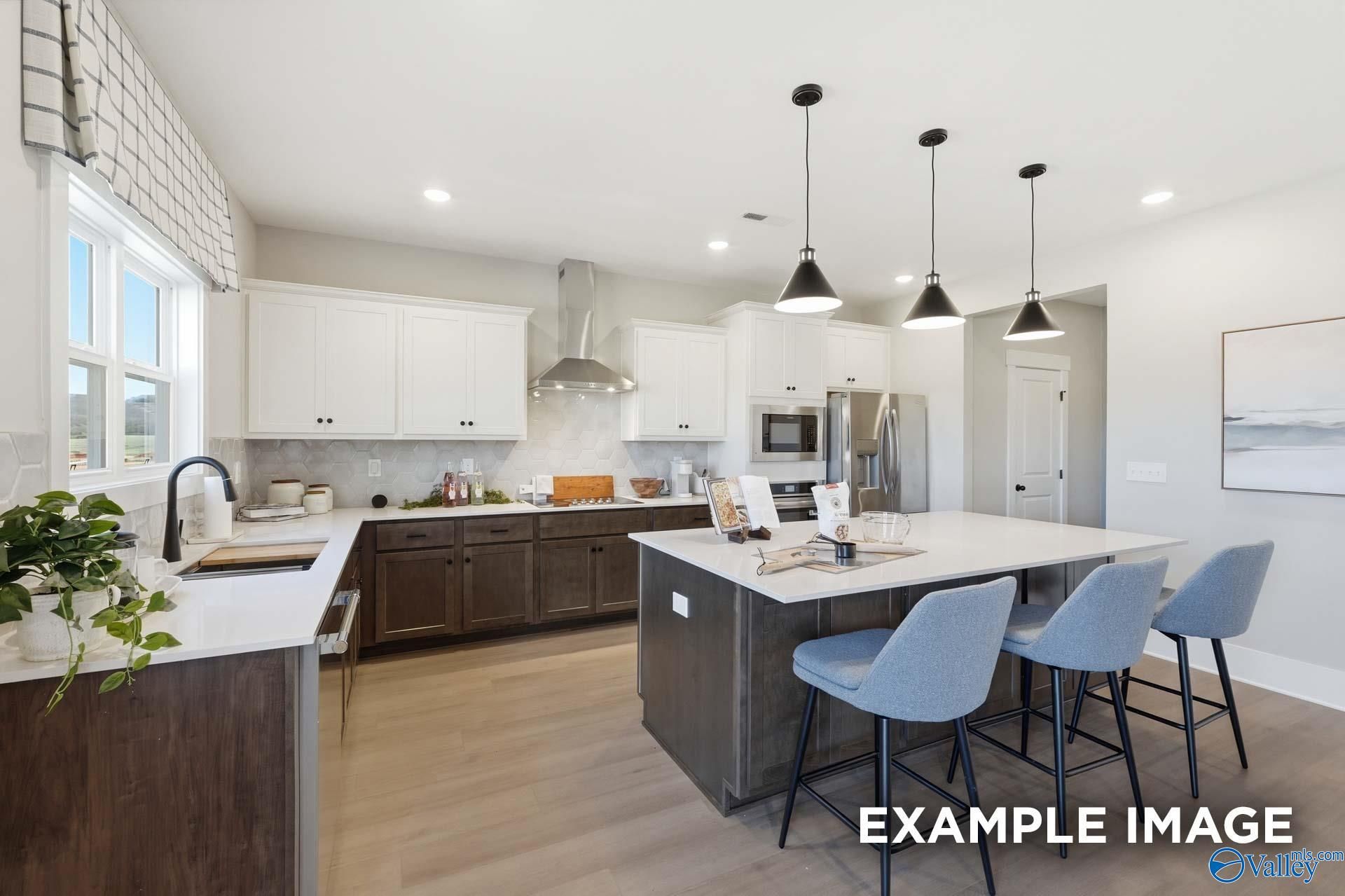 Image 9 of Davidson Homes' New Home at 357 Creek Grove Avenue
