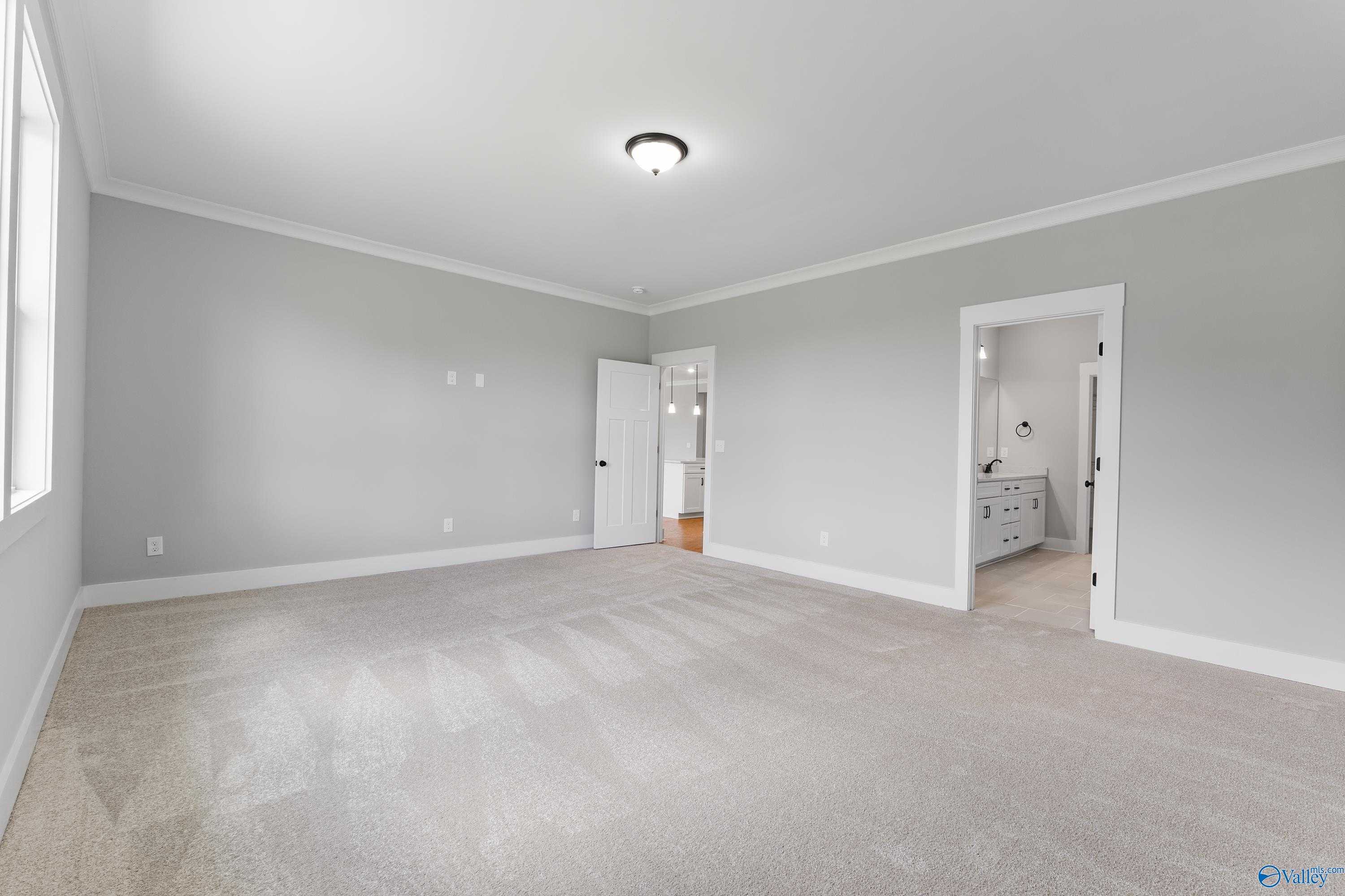 Bright master bedroom with gray walls, beige carpet, large window, and en-suite bath vanity in Davidson Homes The Arcadia, Huntsville AL