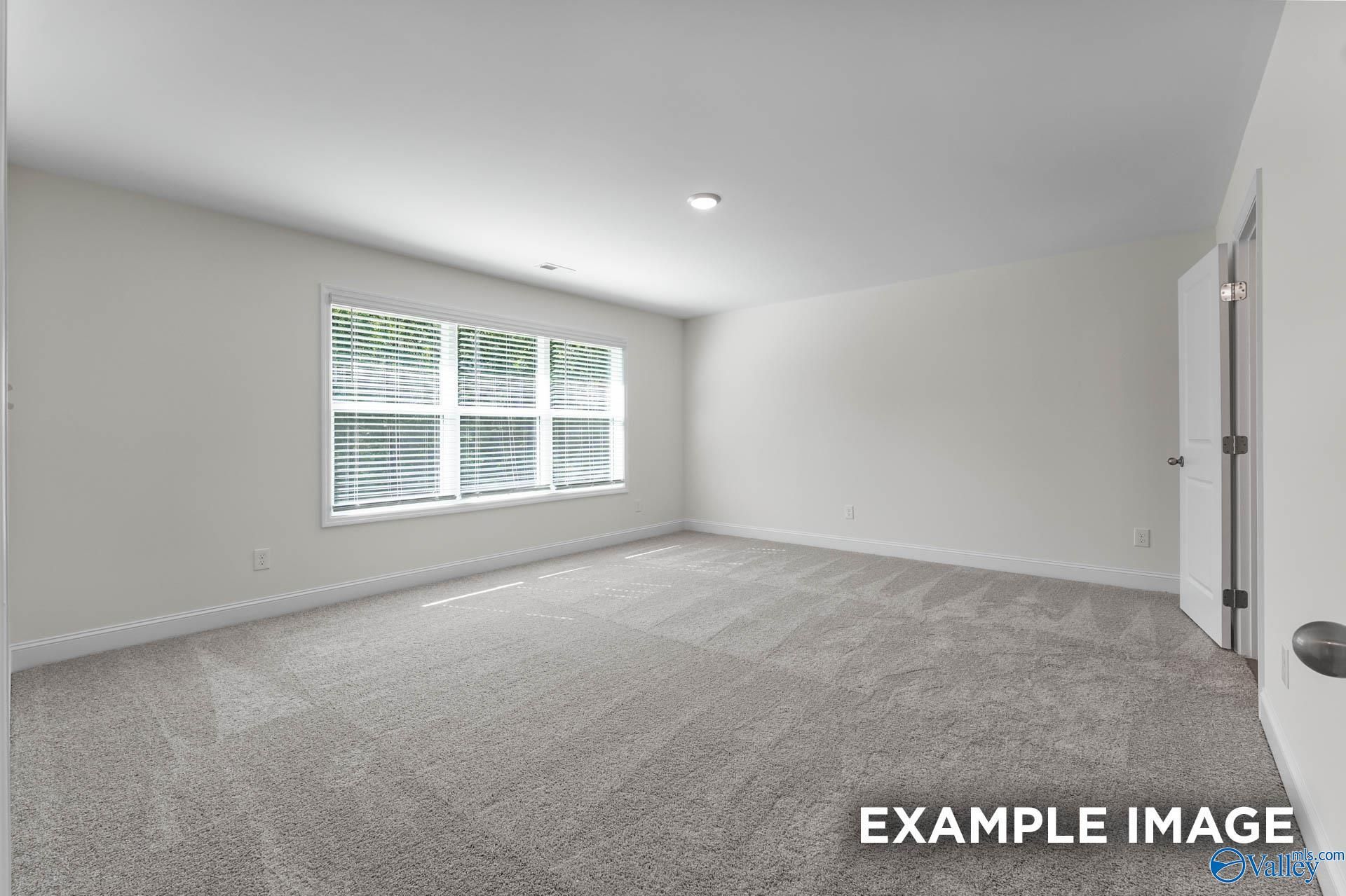 Bright bedroom with large window views, beige walls, and gray carpet in Davidson Homes Shelby A, Hazel Green, AL