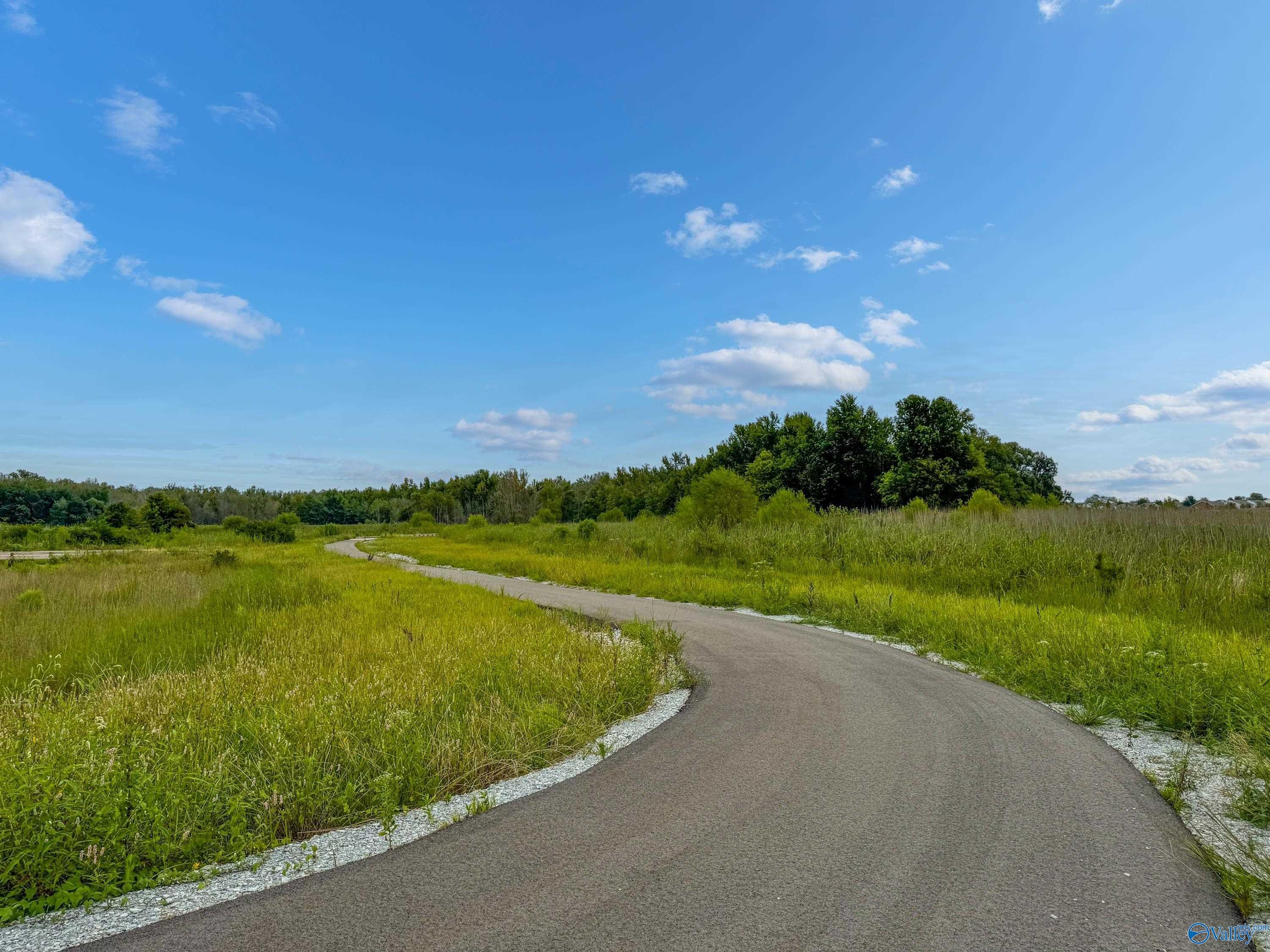 Winding paved road curving through lush green fields and wildflowers under clear blue skies in Barnett's Crossing, Madison, Alabama