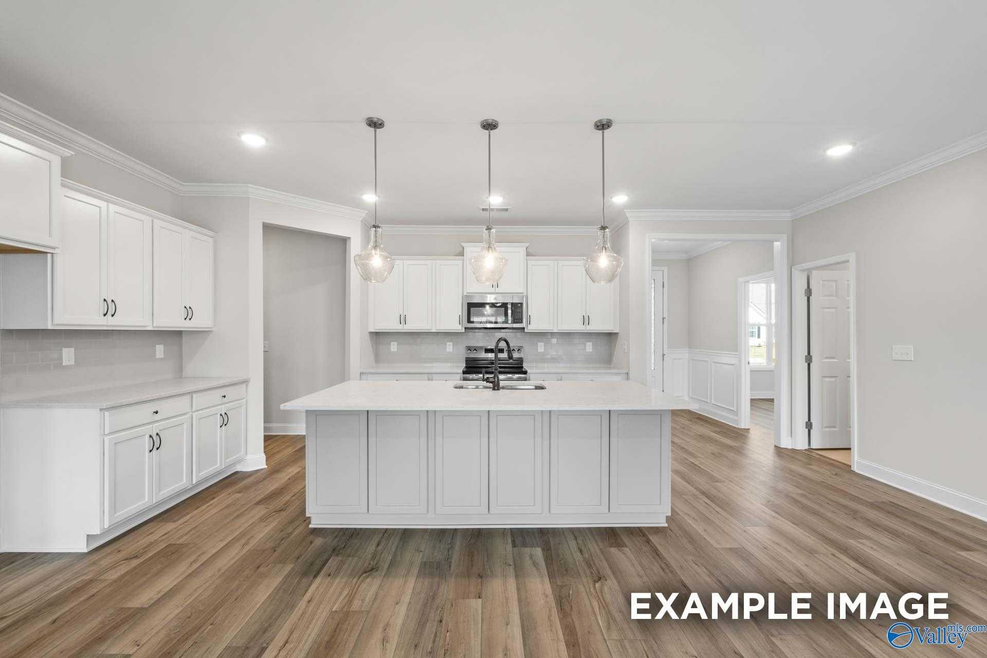 Image 3 of Davidson Homes' New Home at 234 White Horse Way