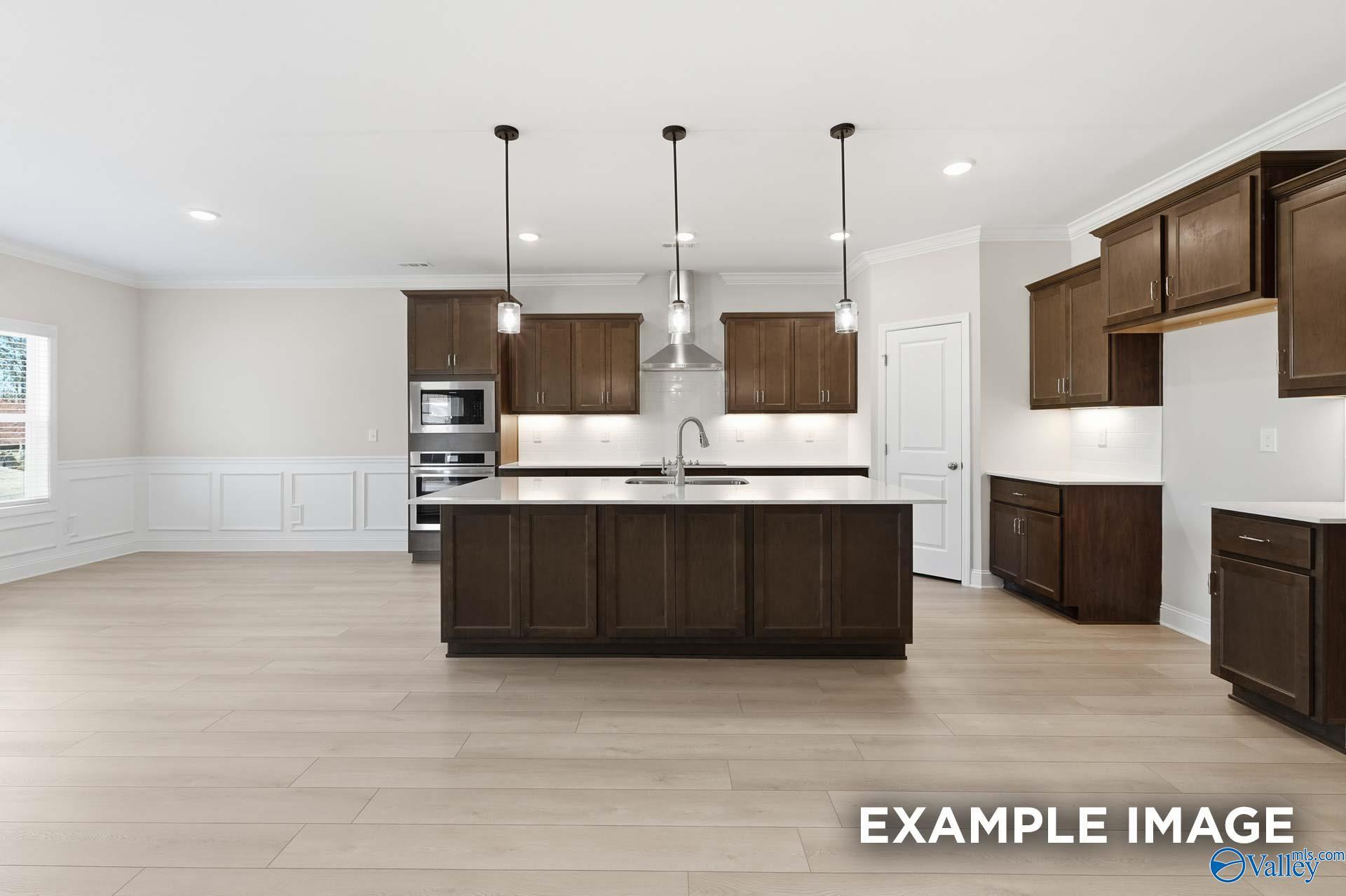 Modern kitchen featuring dark wood cabinets, white quartz island sink, stainless steel appliances in Davidson Homes Harrison C, Madison AL