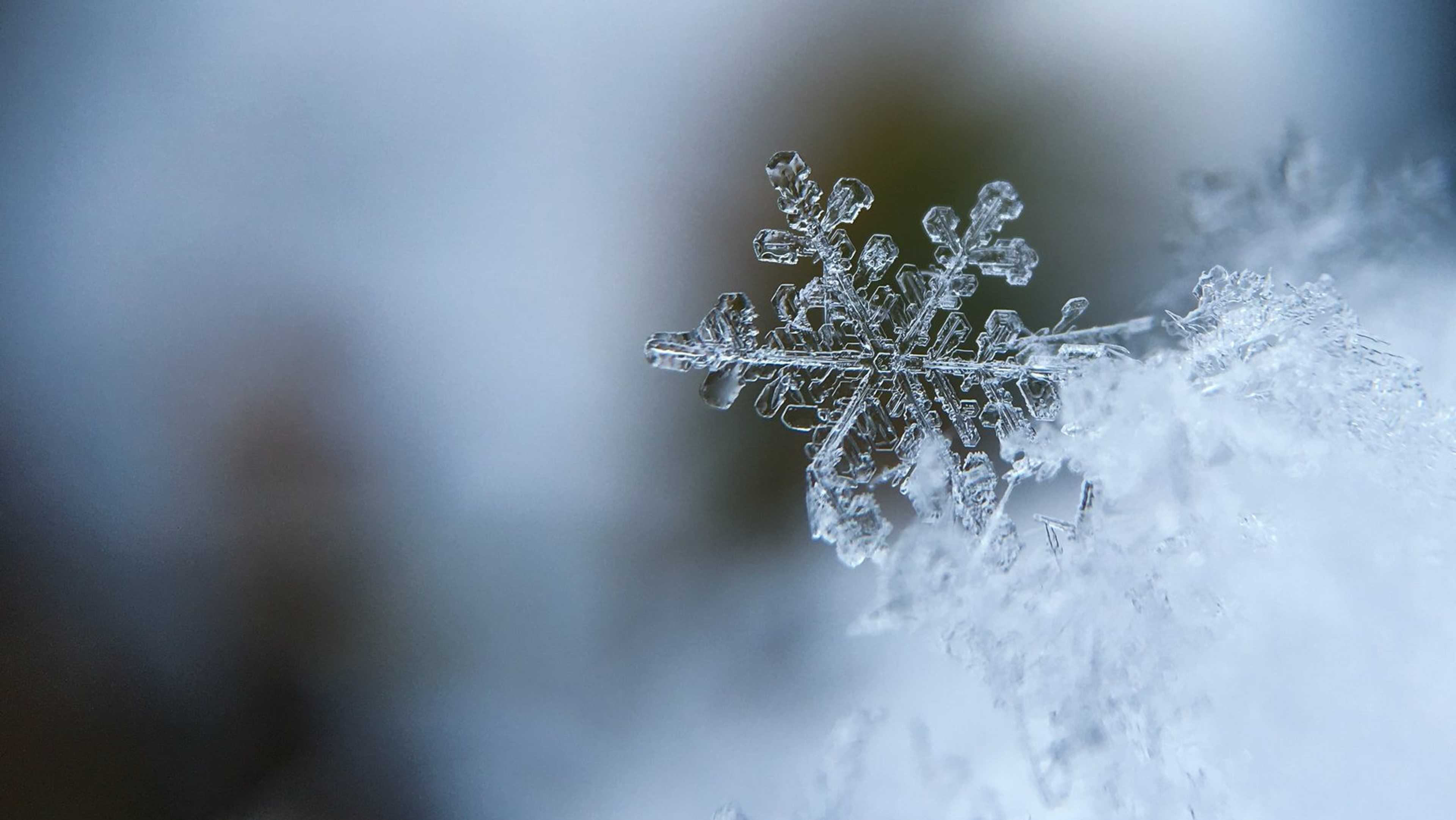 Winter Snowflake