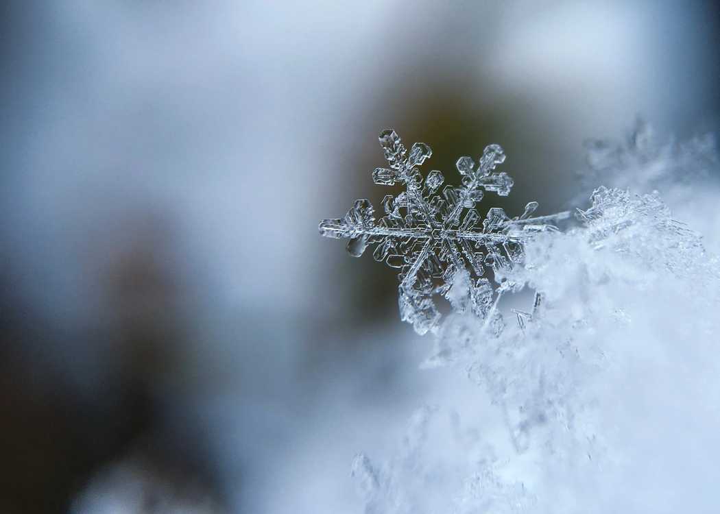 Winter Snowflake