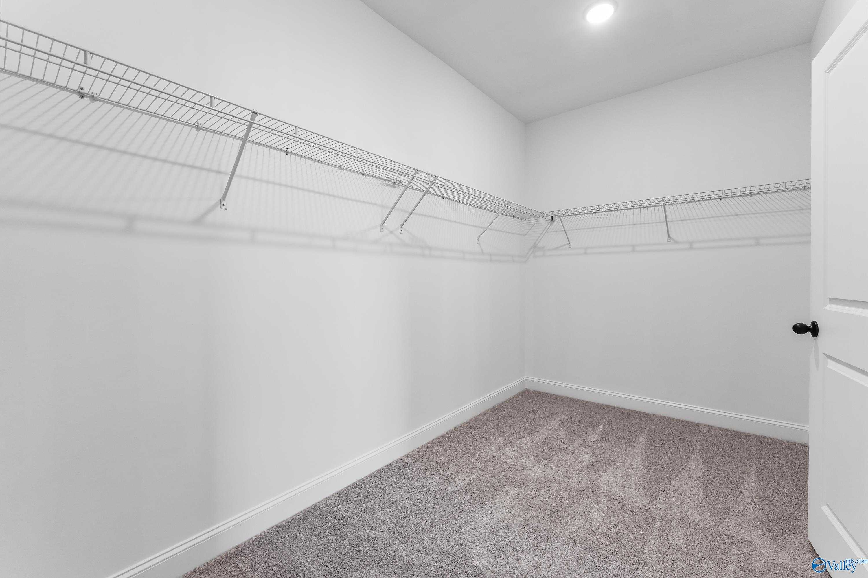 Spacious walk-in closet with wire shelving, carpeted floor in Davidson Homes The Finleigh, Harvest, Alabama