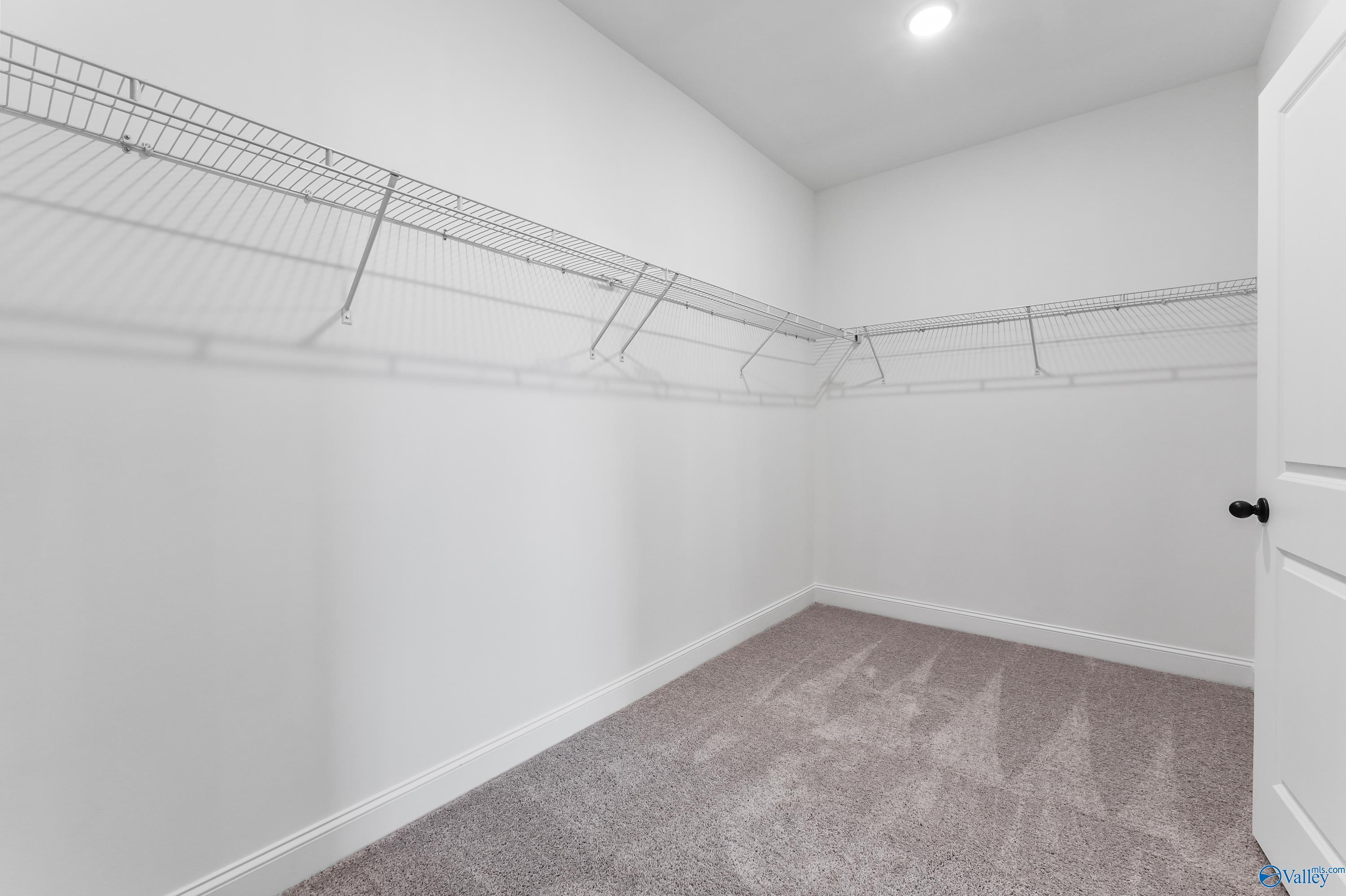Spacious walk-in closet with wire shelving, carpeted floor in Davidson Homes The Finleigh, Harvest, Alabama