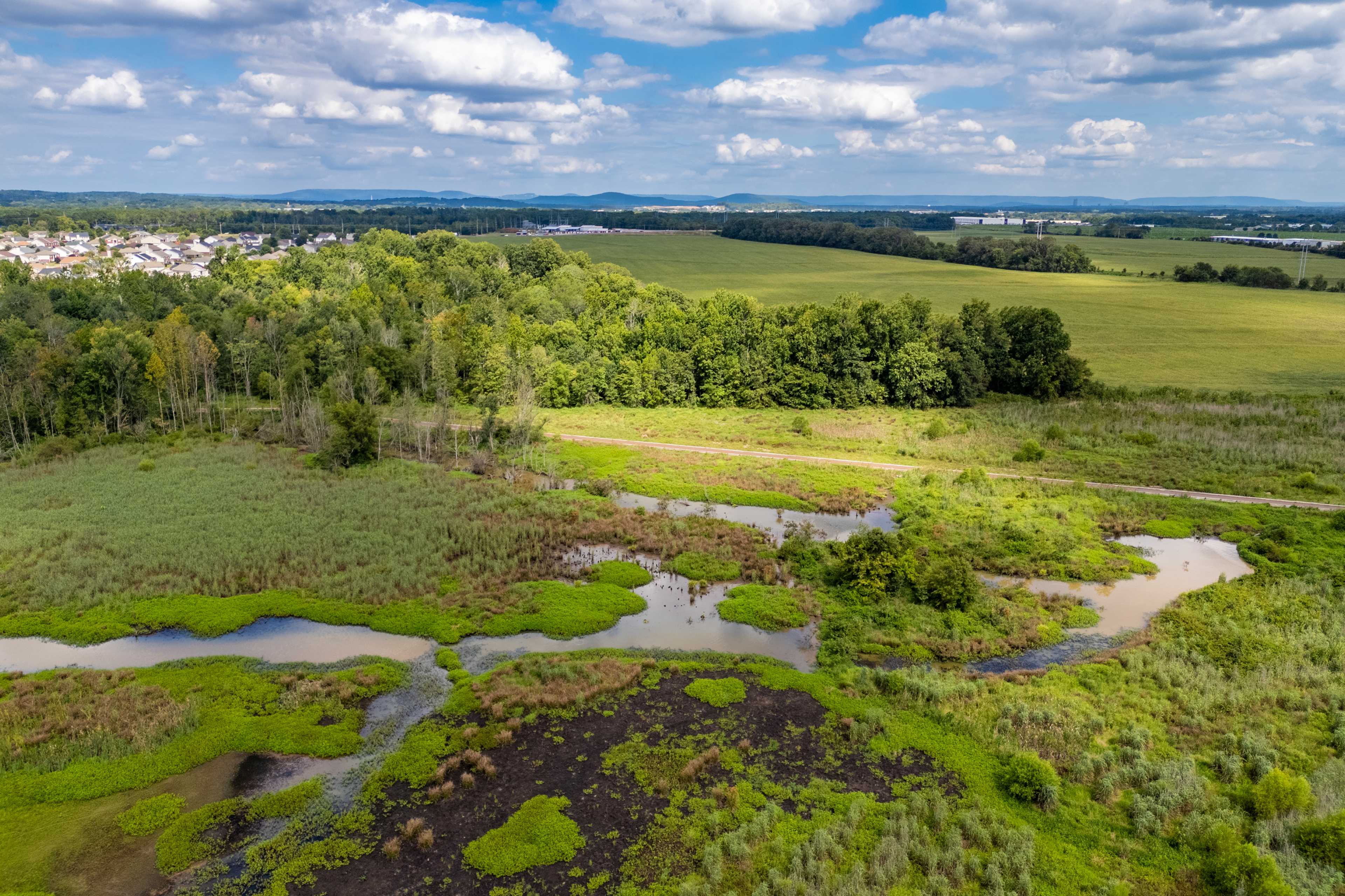 Preservation Land & Walking Trails