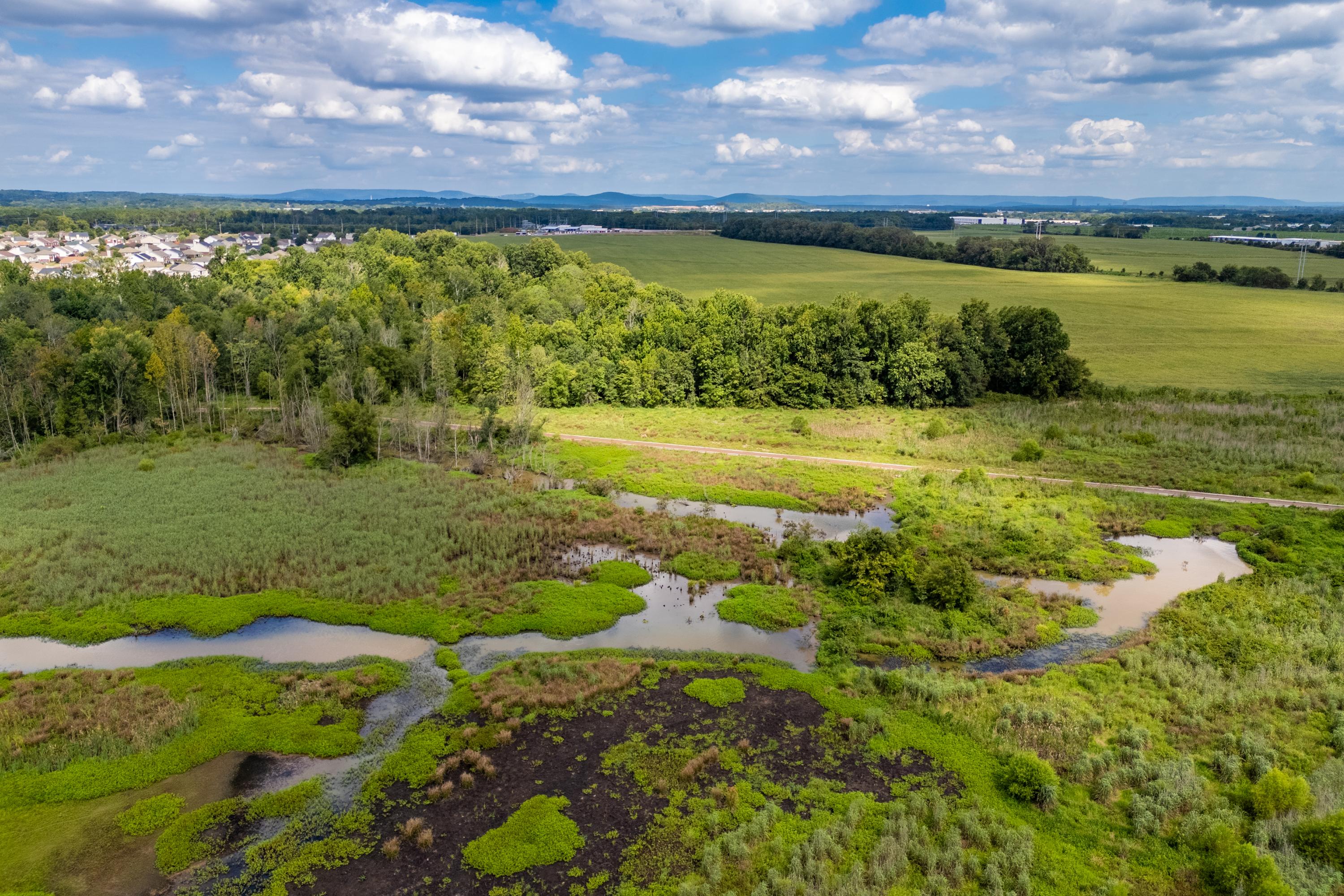 Preservation Land & Walking Trails