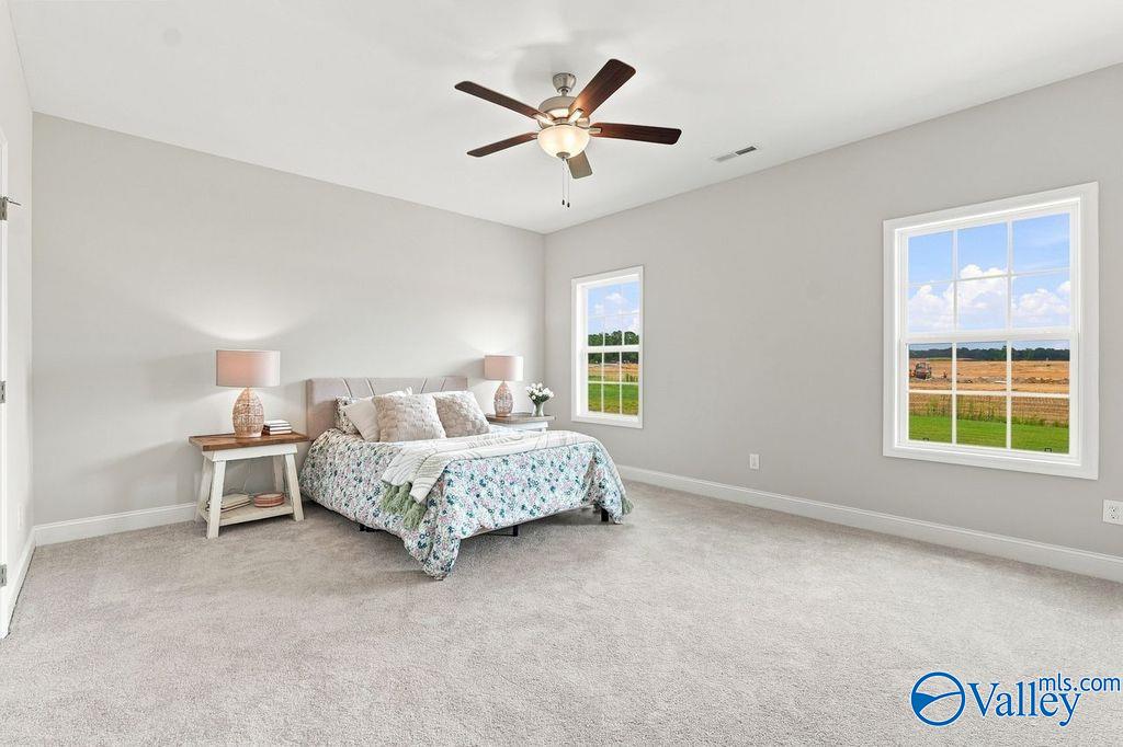 Bright primary bedroom with ceiling fan and scenic country views in Davidson Homes' The Harrison, Hartselle, Alabama.