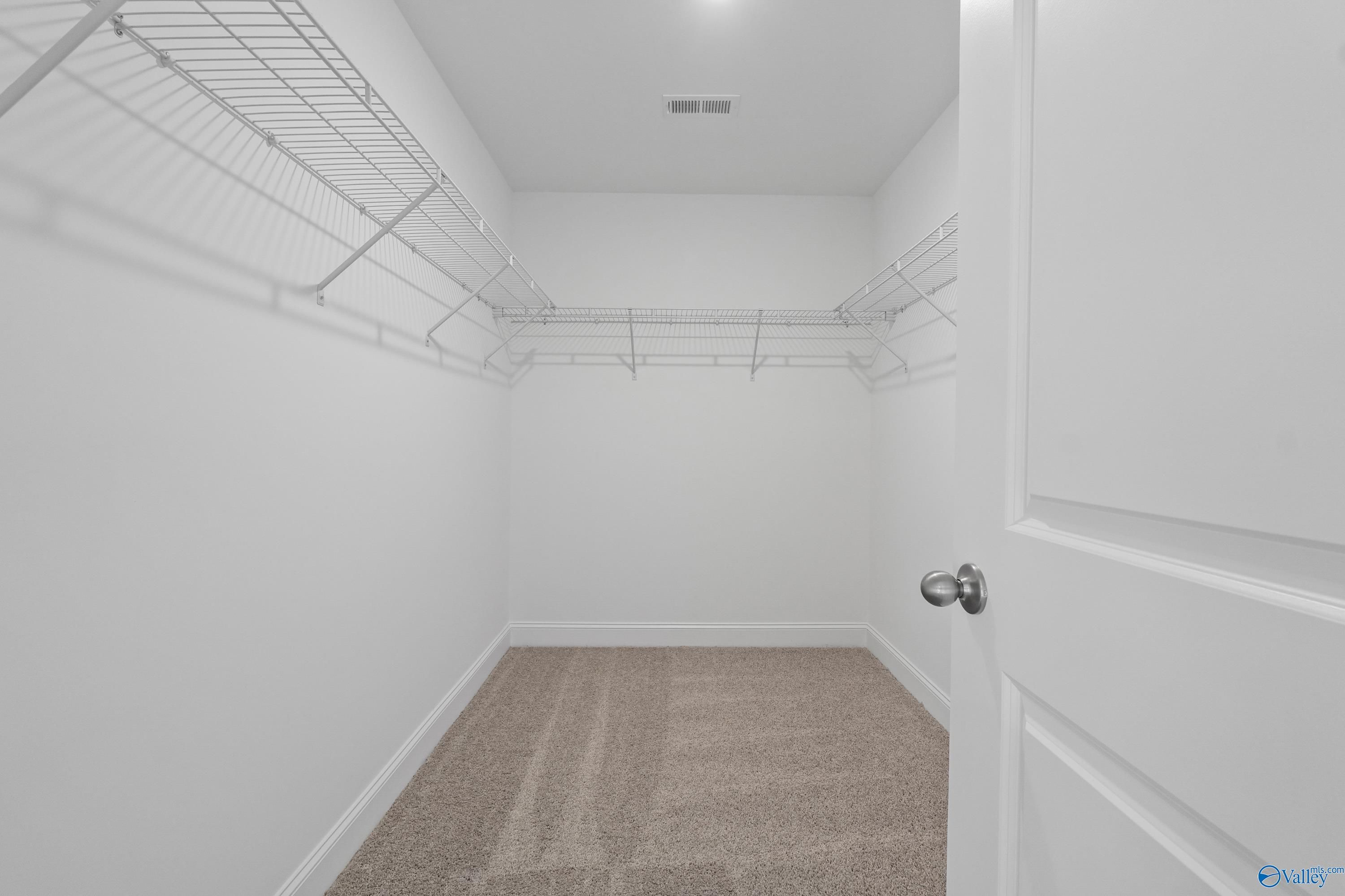 Spacious walk-in closet with wire shelving, beige carpet, and white walls in Davidson Homes The Camden B, Huntsville, Alabama
