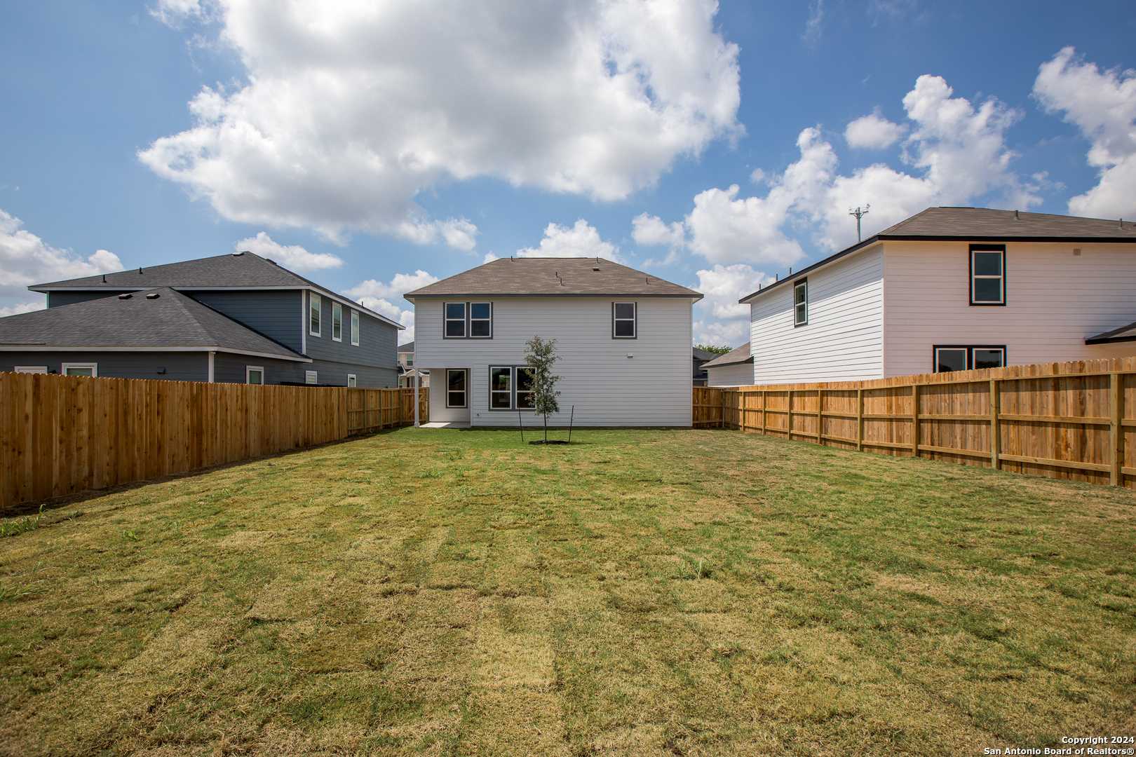 Spacious fenced backyard with covered patio, lush grass, and young tree in Davidson Homes The Murray H, Hannah Heights, Seguin, Texas