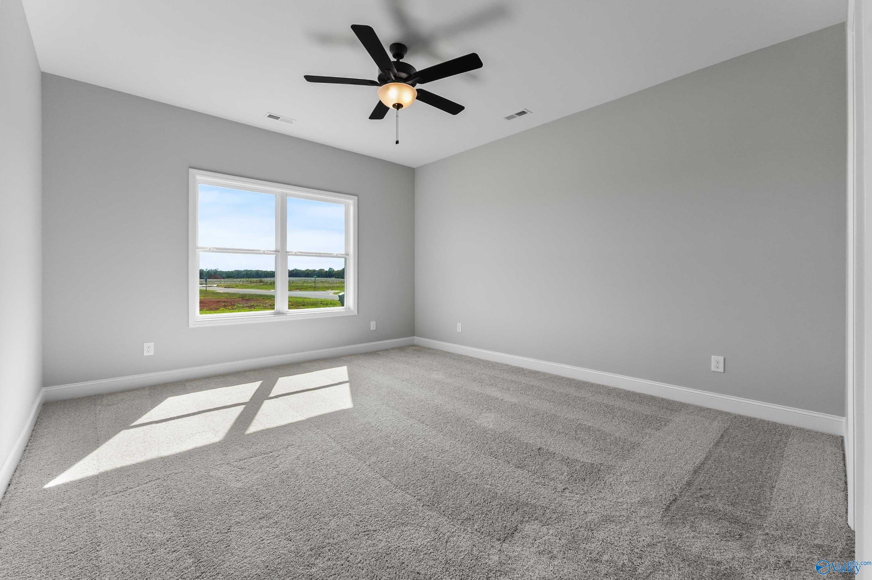 Spacious bedroom with gray walls, carpet floor, ceiling fan, and window overlooking green fields in The Daphne C home, Hazel Green, AL