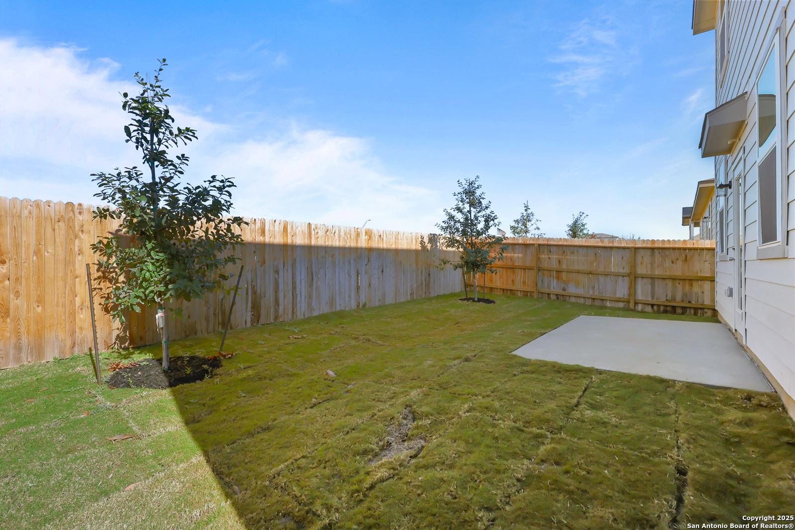 Private backyard with sodded lawn, young trees, wooden fence, and concrete patio in Davidson Homes The Trinity D, San Antonio