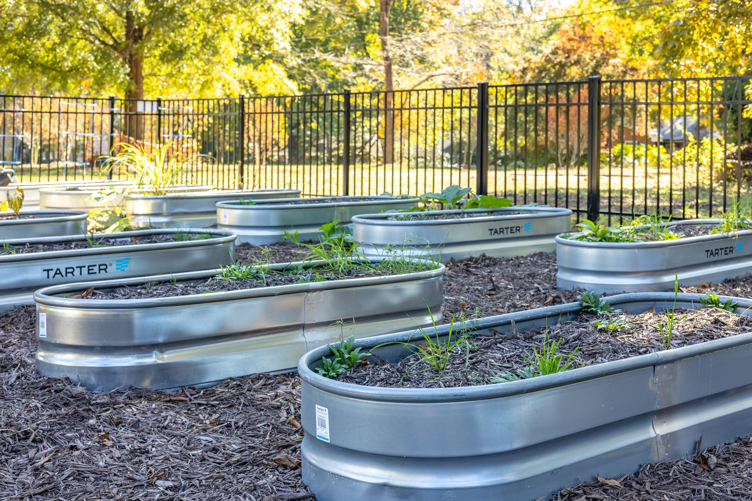 Community raised garden beds with Tarter metal troughs, young plants, black fence, and autumn trees at Stagecoach Corner in Mebane, NC